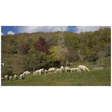 Montagna Verde